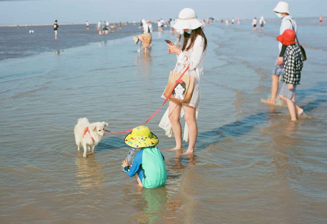 旅游出行保险多少钱一年啊
