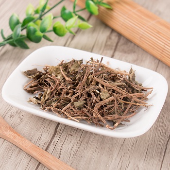 地稔根
