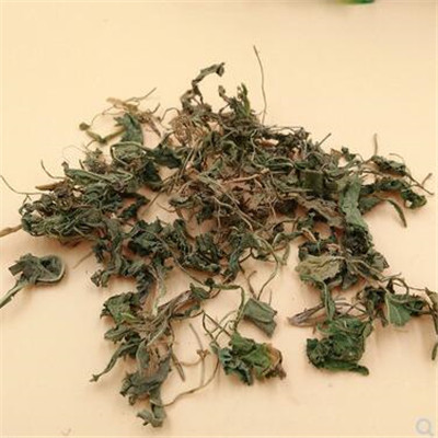 紫花地丁