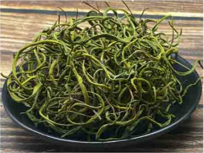 肾精茶