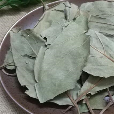 柿叶茶
