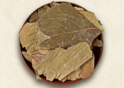 柿子叶茶
