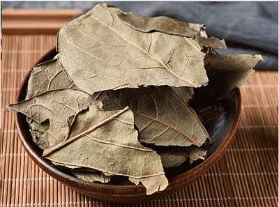 柿子叶茶