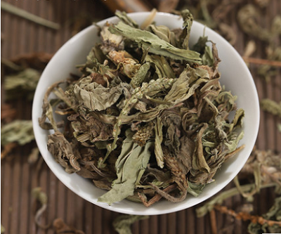 车前草
