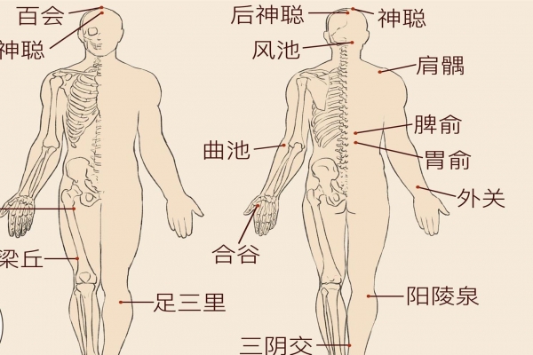 神庭的准确位置和功效