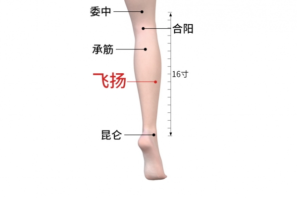 飞扬的位置与作用和功效