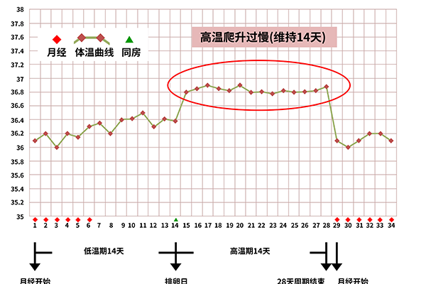 排卵期有什么症状