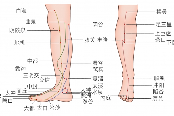 三阴交正确的位置