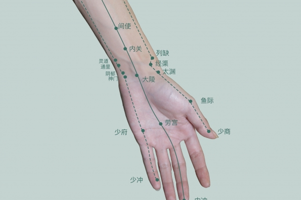 老鹳草可以煲鸡汤吗