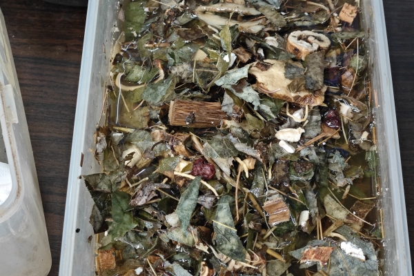 黑顺片的煎法