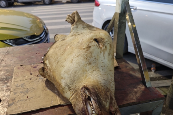 牛头皮的营养价值及功效是什么