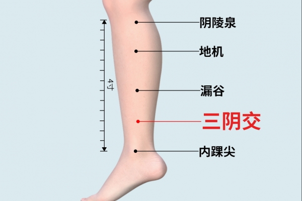 三阴交的位置