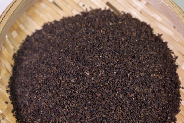 去湿气的中药有哪些