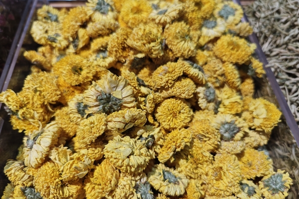 山楂和菊花泡水喝有什么功效