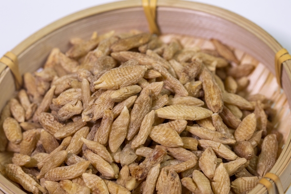 天冬与麦冬的区别有哪些