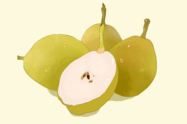 皇冠梨是雪梨吗