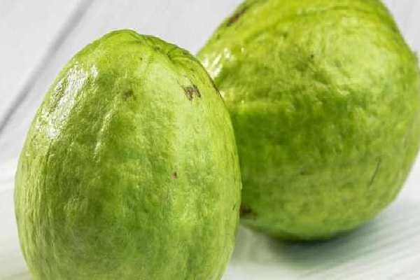 番石榴是芭乐吗