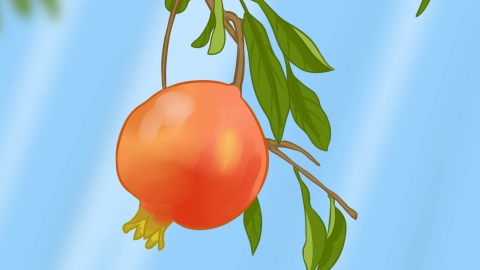 吃石榴上火还是降火