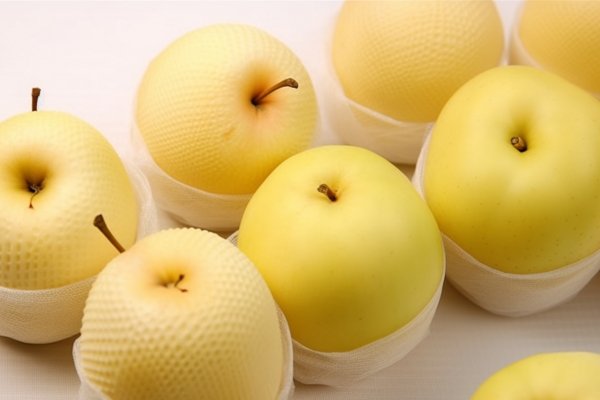 川贝炖雪梨的禁忌有哪些