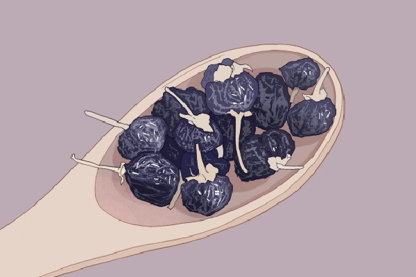 黑枸杞功效与作用有哪些
