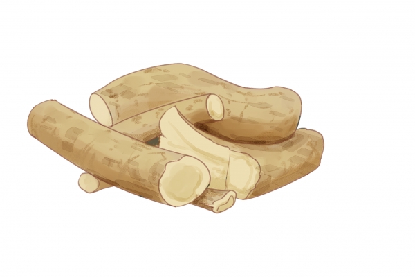 五指毛桃煲汤配什么