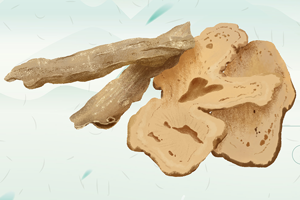 男性吃当归有好处吗