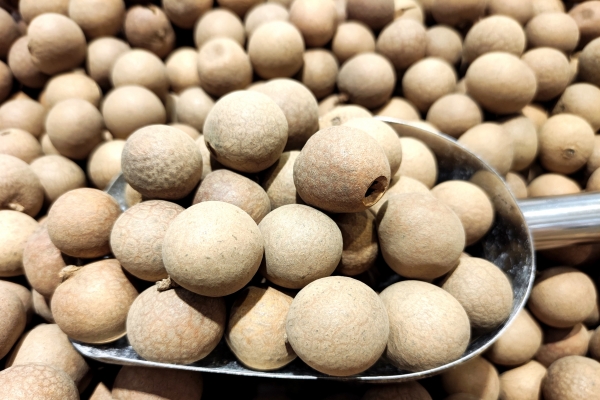 当归搭配什么食材养血效果最好