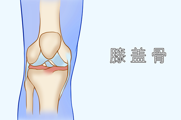 股骨头具体在哪个位置
