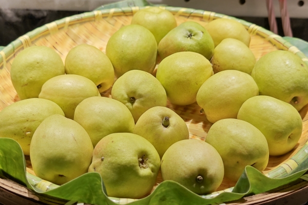 儿童多久可以开始吃秋月梨