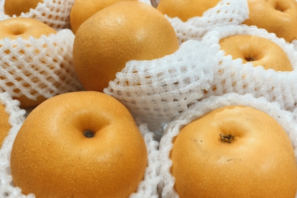 老年人吃秋月梨有什么益处