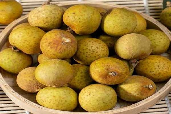 秋月梨和什么水果搭配更养生