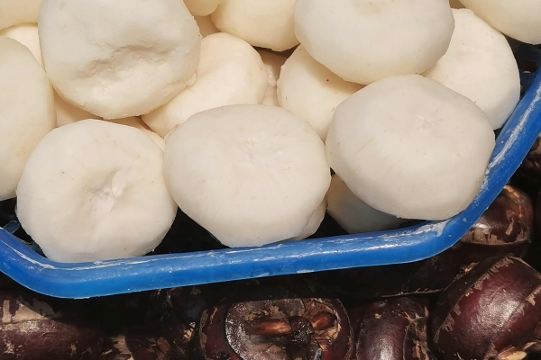 马蹄的营养成分有哪些