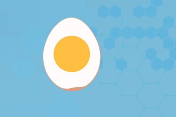 记忆力减退吃什么好