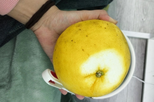 葡萄柚中的柠檬酸如何帮助促进消化