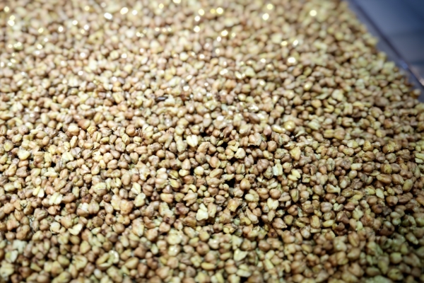 冬至为什么要吃荞麦面